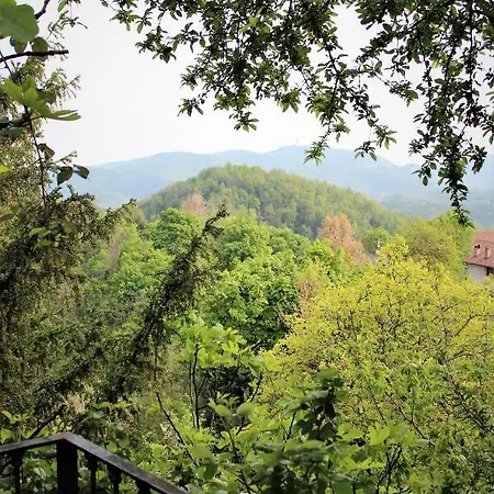 Casa vacanze Il Bosco Di Costanza E Ines